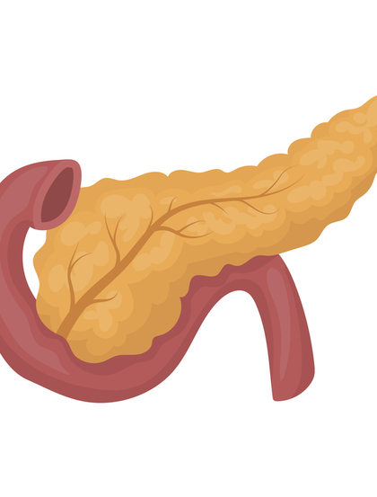 Image-pancreas_full